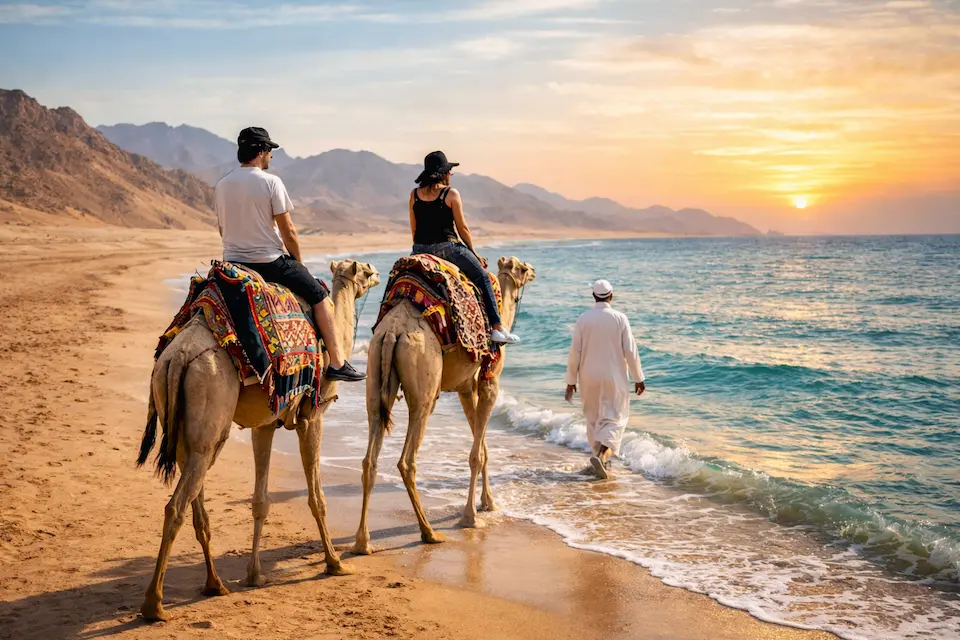 Camel riding trips in Hurghada desert and beach
