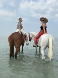 Professional Horse Photography