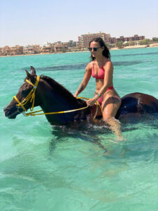 Horse swimming tour in Hurghada Red Sea, Egypt.