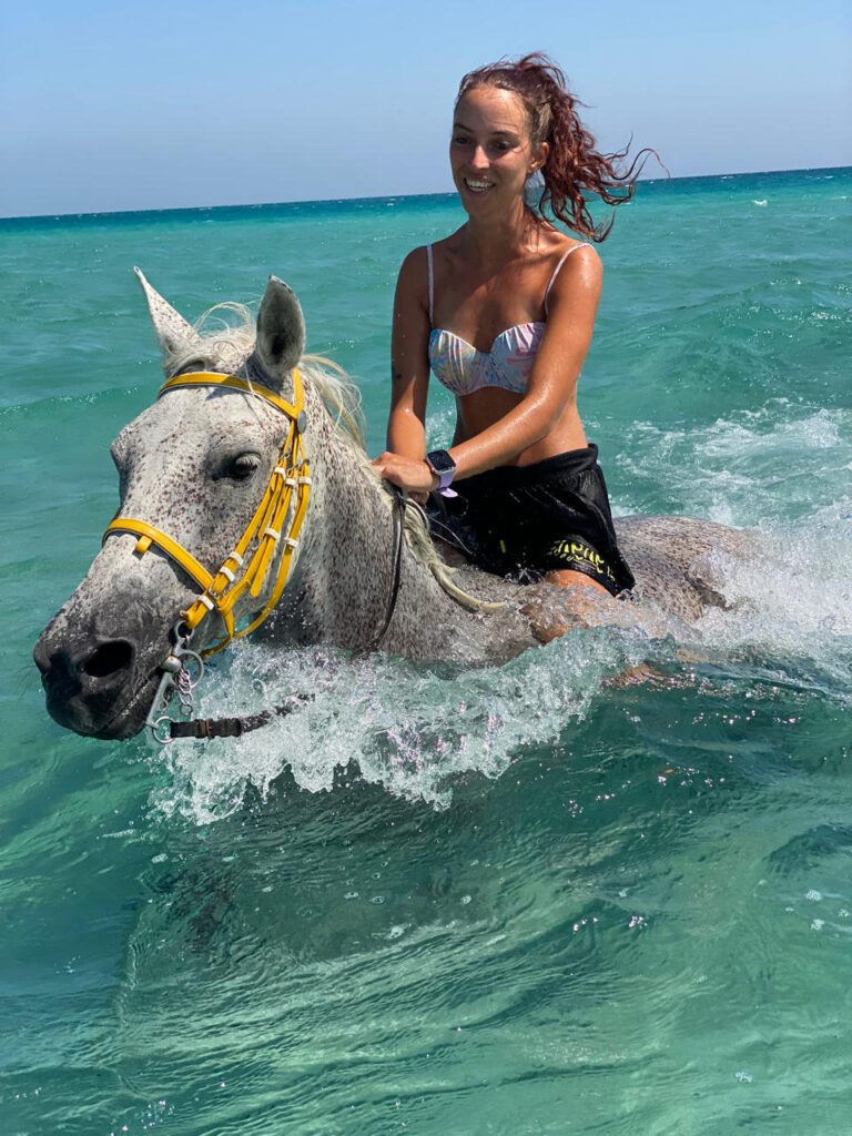 Swim with horses in Hurghada, Egypt – real tour photos.