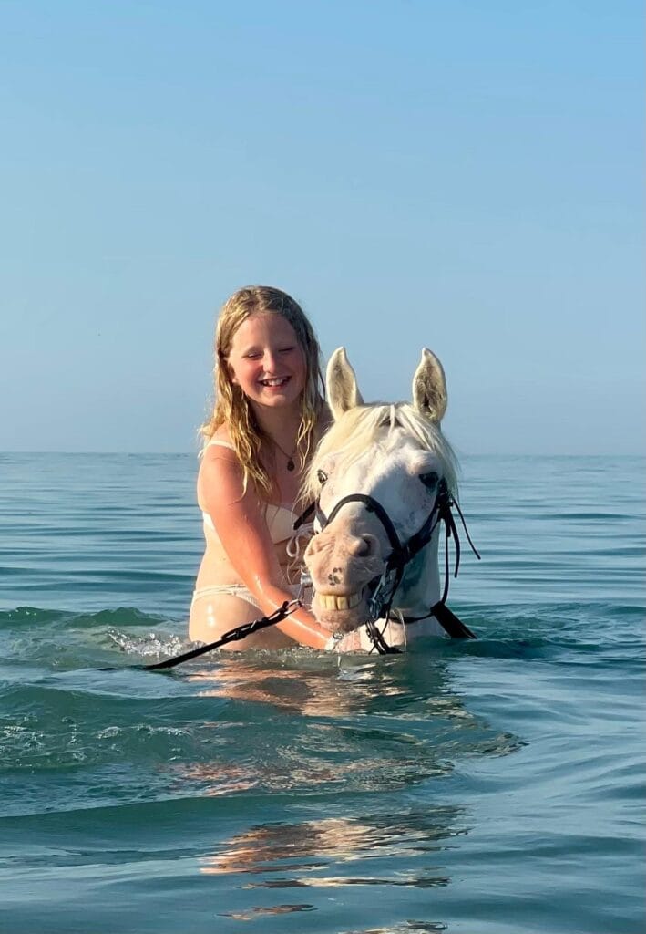 Horse swimming Hurghada on the Red Sea beach