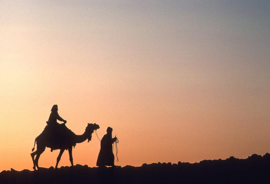 катание на верблюде в Хургаде на фоне заката в пустыне Красного моря