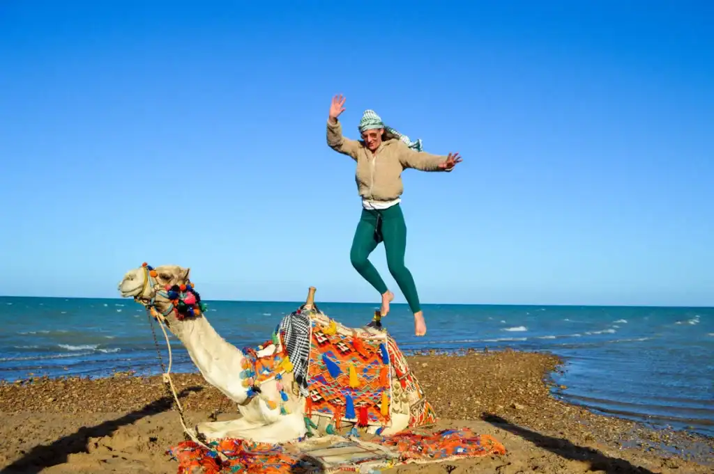 Safari chameau Hurghada – Aventure Authentique au Coucher du Soleil