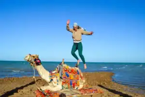 Safari chameau Hurghada – Aventure Authentique au Coucher du Soleil