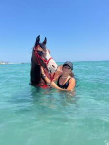 Плавание с лошадьми в Хургаде в Красном море 