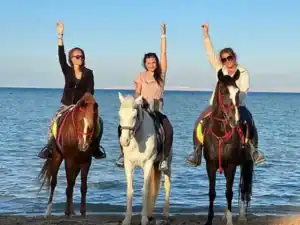 GoPro Horse Riding Tour