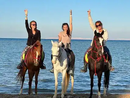 All inclusive horse trip