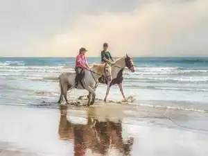 Red Sea Riding Excursions
