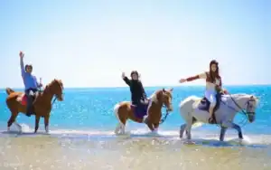 Horse riding vacation Egypt