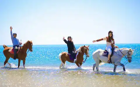 Horse riding vacation Egypt