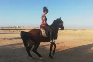 Hurghada Horse Riding in the Desert Bedouin Experience