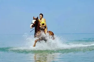 Red Sea Riding Excursions