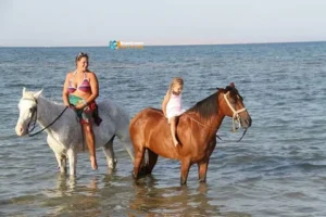 Morning Horse Riding Tours in Hurghada Red Sea