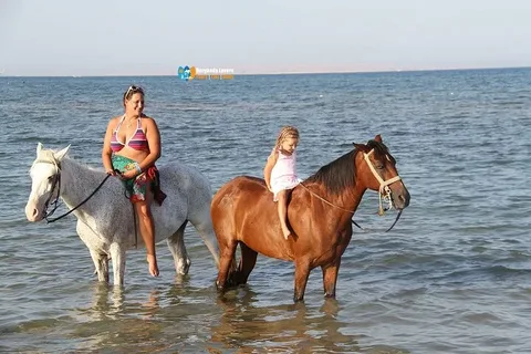 Where to ride horses Hurghada