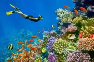 Red Sea Adventure Tours