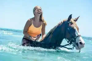 Best Horse Riding Tours in Hurghada