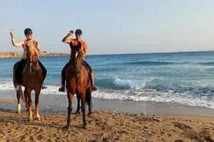 Non-sharing Horse Tour