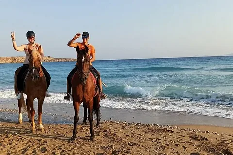 Non-sharing Horse Tour