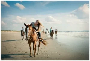 Unique horse riding experience