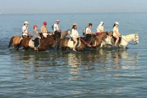 GoPro Horse Riding Tour