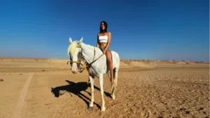 Horse Riding Hurghada Reviews