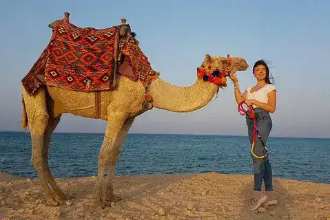 Short camel ride beach