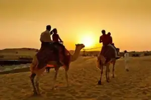 Private family camel ride
