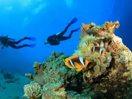 Red Sea diving experience