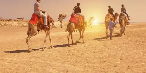 Horse and camel riding