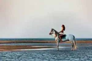 Horse riding Red Sea coast