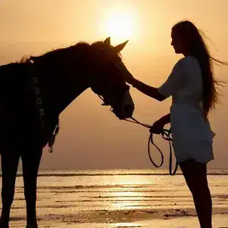 Horse Riding on the Red Sea