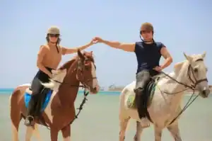 private horse riding excursions in Hurghada
