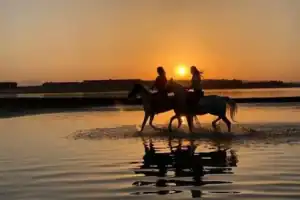 Sunrise vs Sunset Horse Ride