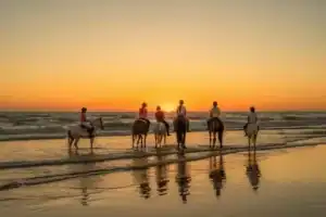 Beach Track Horse Riding