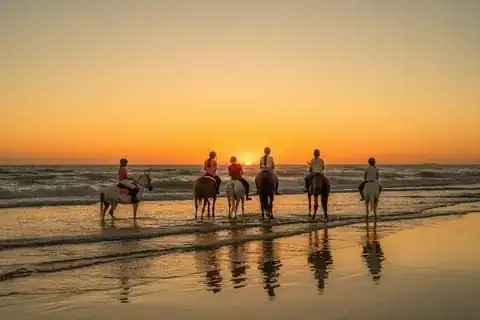 Sunrise vs Sunset Horse Ride