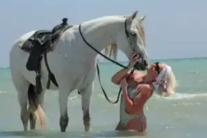 sunset horse riding in Hurghada beach romantic tour