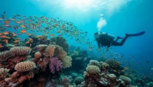 Best Time of Day for Diving in the Red Sea
Choosing the right time of day can significantly enhance your Red Sea diving experience. Early morning dives are often the best, as the water is calm and visibility is at its peak. Marine life is also more active during this time, giving divers a better chance to observe fish and other sea creatures. Afternoon dives can still be enjoyable, but conditions may vary depending on weather and currents, making morning sessions more recommended.
Underwater Photography Opportunities
The Red Sea diving experience is a dream for underwater photography enthusiasts. The clear visibility and vibrant marine life create perfect conditions for capturing stunning images. Divers can photograph colorful coral reefs, schools of tropical fish, and unique underwater landscapes. Using proper camera equipment and lighting can help you capture the beauty of the underwater world and preserve unforgettable memories from your dives.
Liveaboard Diving Adventures
For those seeking a more immersive experience, liveaboard diving trips are an excellent option. These trips allow divers to stay on a boat for several days, visiting multiple dive sites that are not accessible from shore. Liveaboards offer the chance to explore remote reefs and enjoy multiple dives per day, making them ideal for passionate divers who want to maximize their time underwater.
Drift Diving in the Red Sea
Drift diving is one of the most exciting aspects of the Red Sea diving experience. This type of diving involves moving along with ocean currents, allowing you to cover larger areas with less effort. It provides a thrilling sensation of flying underwater while observing marine life and coral formations. Drift diving is usually recommended for experienced divers due to the need for proper control and awareness.
Night Diving Experience
Night diving adds a completely different dimension to the Red Sea diving experience. As the sun sets, the underwater world transforms, revealing nocturnal marine life that is not visible during the day. Divers can observe creatures such as crabs, shrimp, and other night-active species. The calm and mysterious atmosphere of night diving makes it a unique and unforgettable adventure.
Training and Certification Opportunities
The Red Sea is one of the best places in the world to obtain diving certifications. Many diving centers in Hurghada offer courses ranging from beginner to advanced levels, including PADI certifications. Learning to dive in such a beautiful and supportive environment makes the process more enjoyable and rewarding. Certified divers can continue improving their skills while exploring new dive sites.
Why the Red Sea Diving Experience is Unique
What makes the Red Sea diving experience truly unique is the combination of accessibility, biodiversity, and stunning underwater landscapes. Few places in the world offer such clear waters, diverse marine الحياة, and a wide range of dive sites suitable for all skill levels. Whether you are exploring shallow reefs or deep wrecks, every dive offers a new perspective and unforgettable moments.