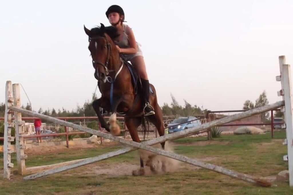 Horse Riding Tours for Brits