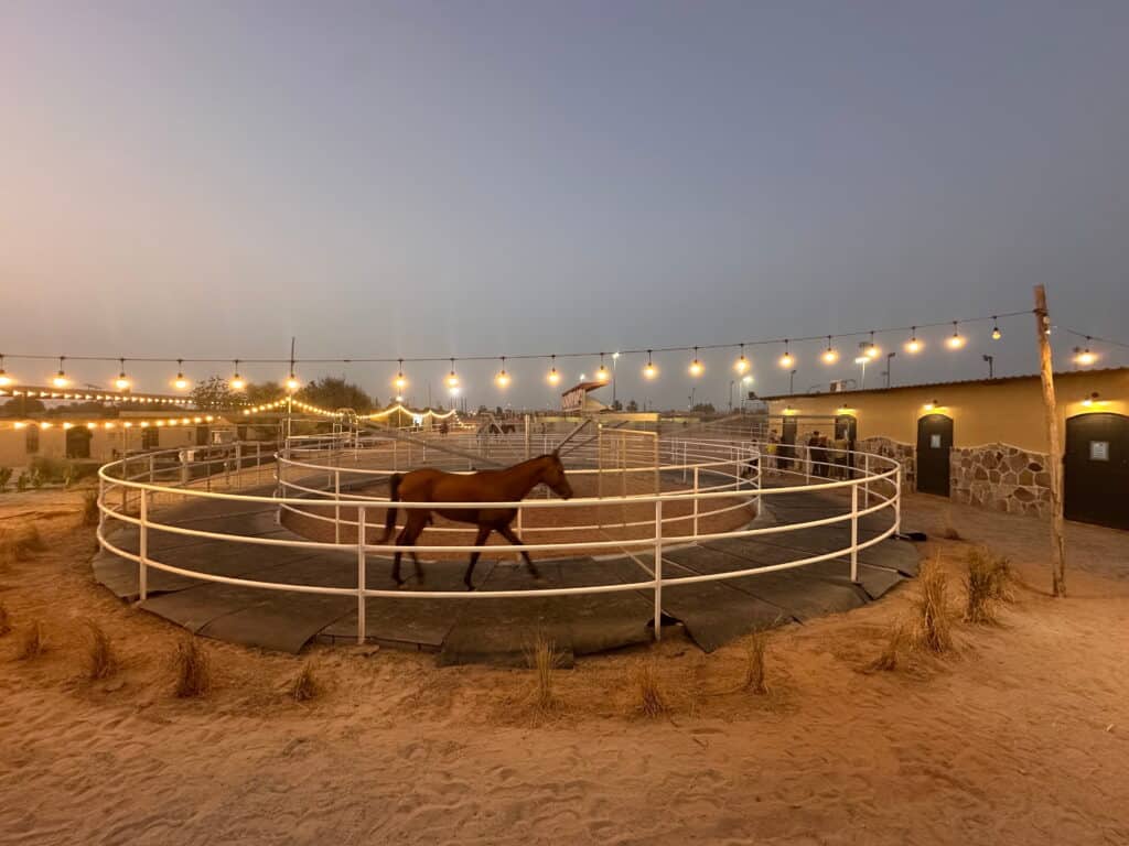 Red Sea Equestrian Club