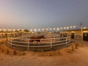 Red Sea Equestrian Club